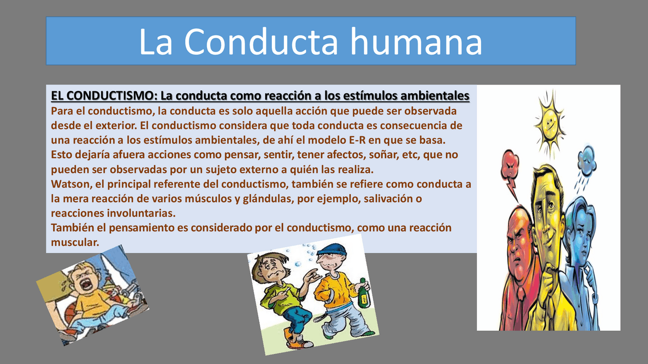 Tipos de conducta: definiciones y ejemplos explicativos